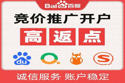 专业SEM托管助力企业快速成长案例分析